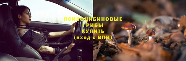 ПСИЛОЦИБИНОВЫЕ ГРИБЫ Верхний Тагил